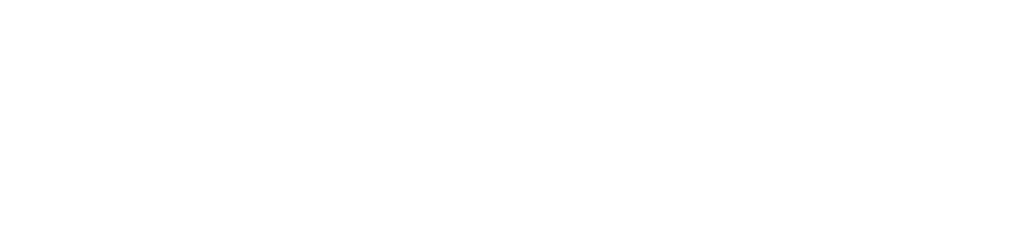 white autovent logo